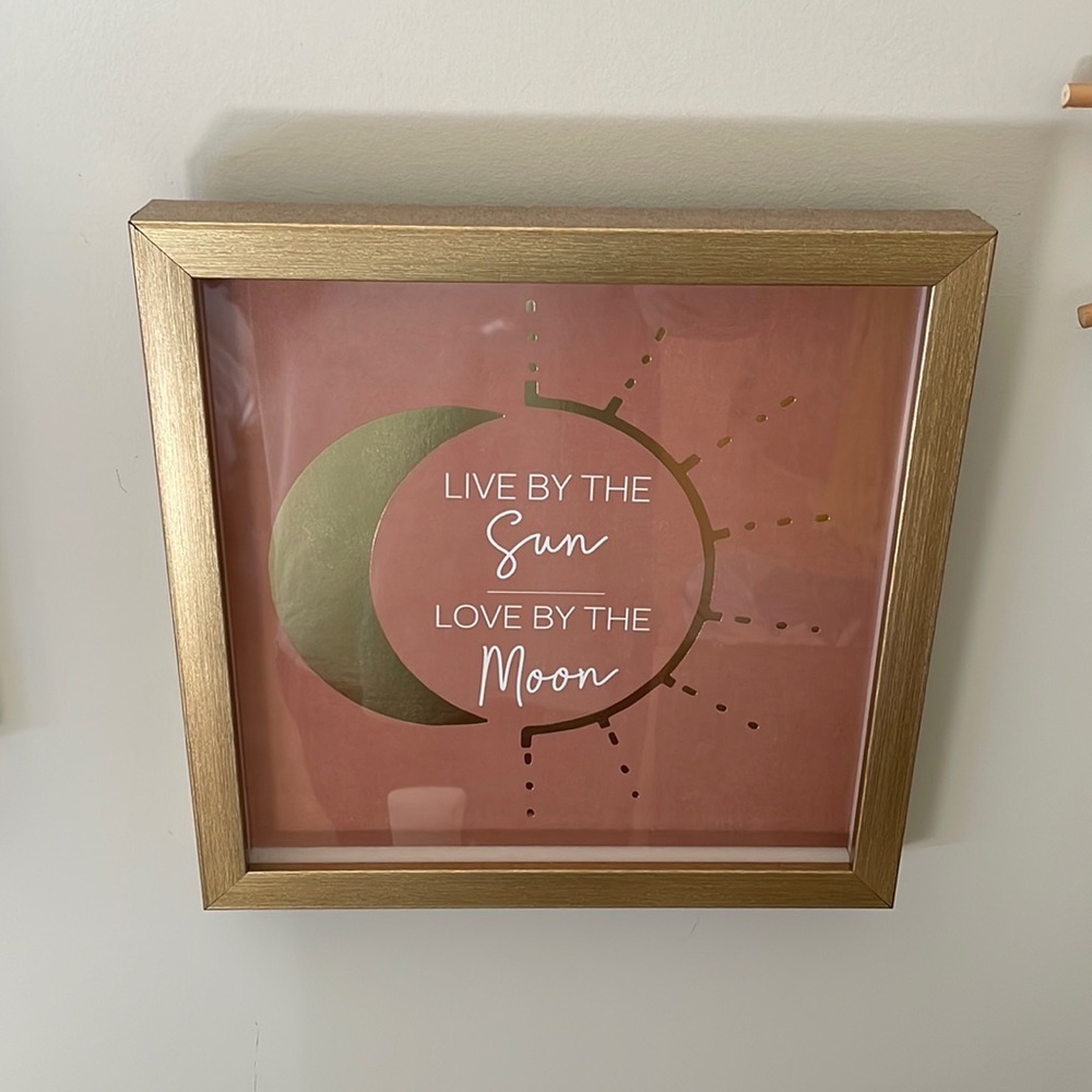 Live by the sun love by the moon pink golden frame